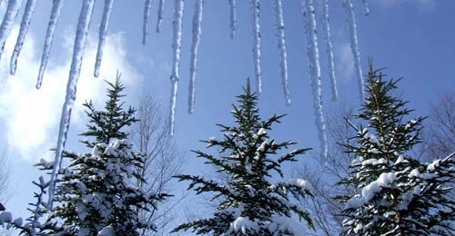 ���Ɠ~�i�F